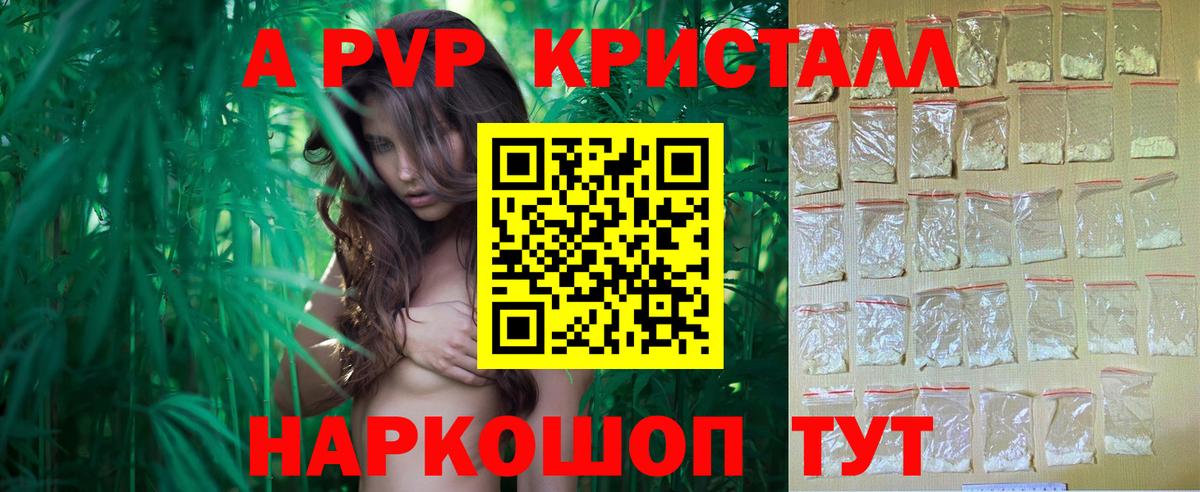 Альфа ПВП СК Кострома