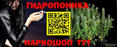 шишки Тула