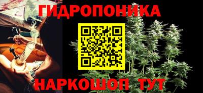 шишки Тула