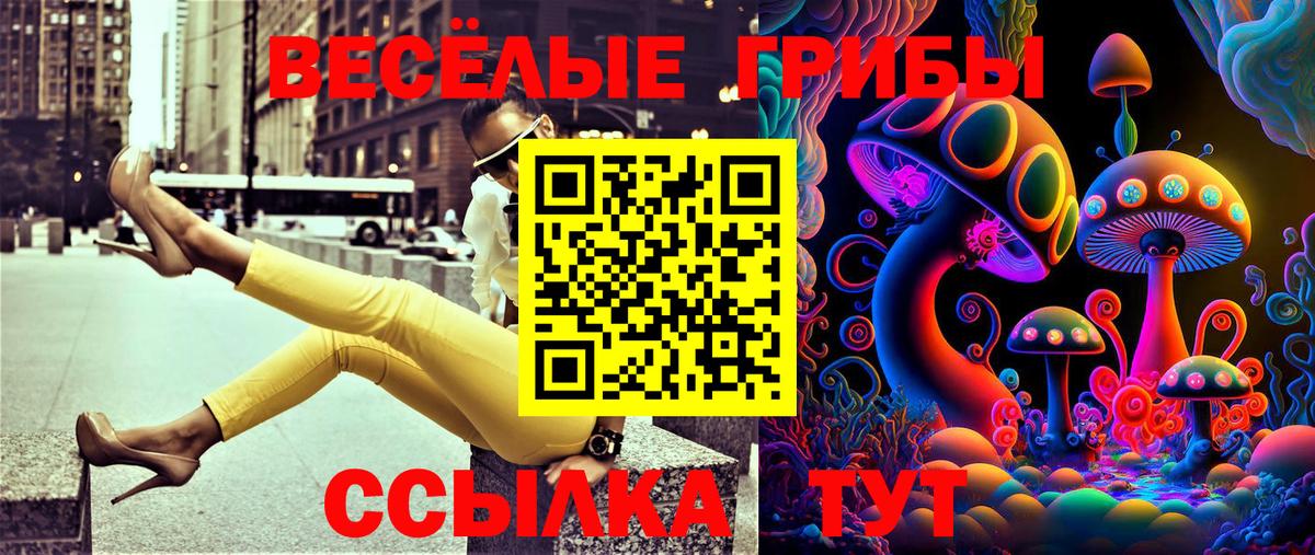 Псилоцибиновые грибы GOLDEN TEACHER Кострома