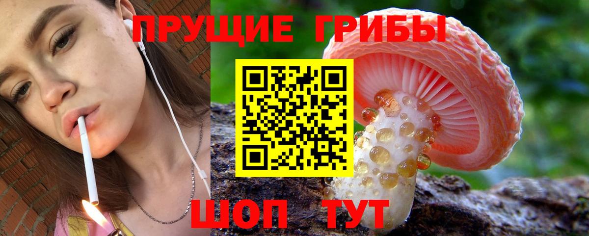 Псилоцибиновые грибы прущие грибы  Вход с VPN  Галлюциногенные грибы ЛСД  Кострома 